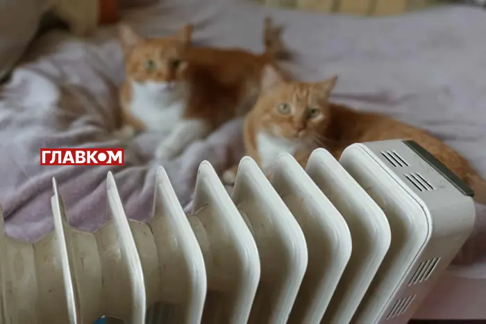 Зображення грошових купюр і монет