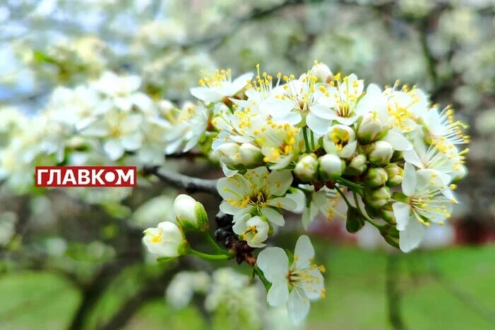Variable cloudiness on April 25