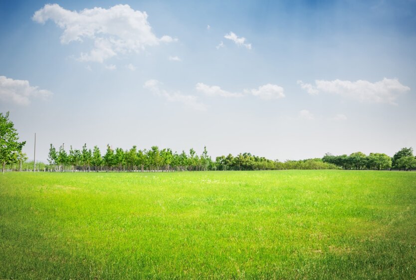 Ukrainians have been explained what to pay attention to when purchasing a land plot