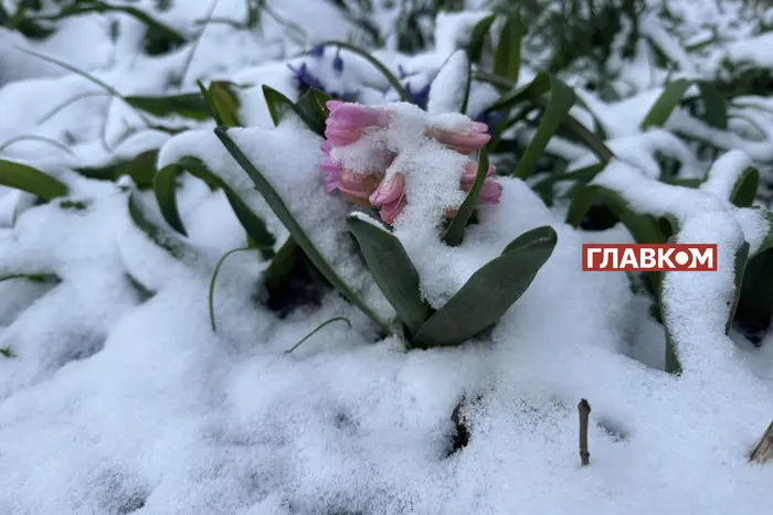Snowy Ukraine in April