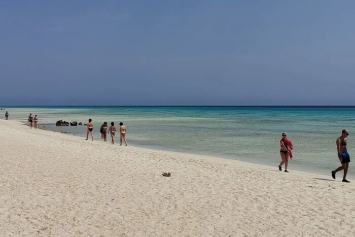 Serious threat to Egypt's beaches: ecologists raise alarm