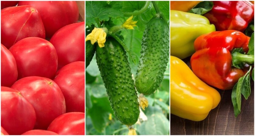 Vegetable Prices in the Supermarket Before Easter