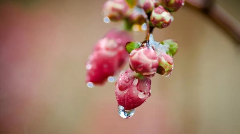 May surprises: weather forecast for Kyiv