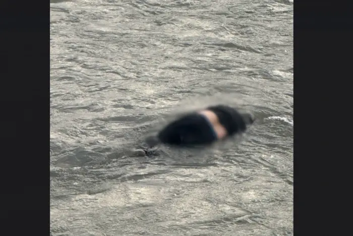Man found in the Tisza