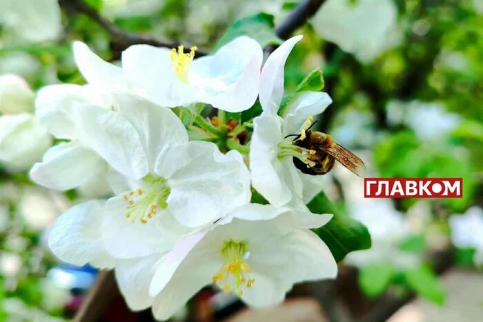 No precipitation on April 28 in Ukraine