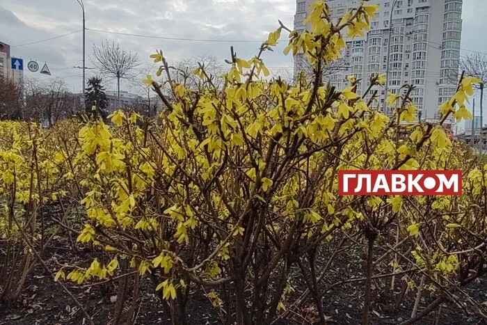 Weather forecast for April 16