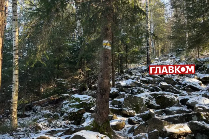 Snow and frost. Ukraine