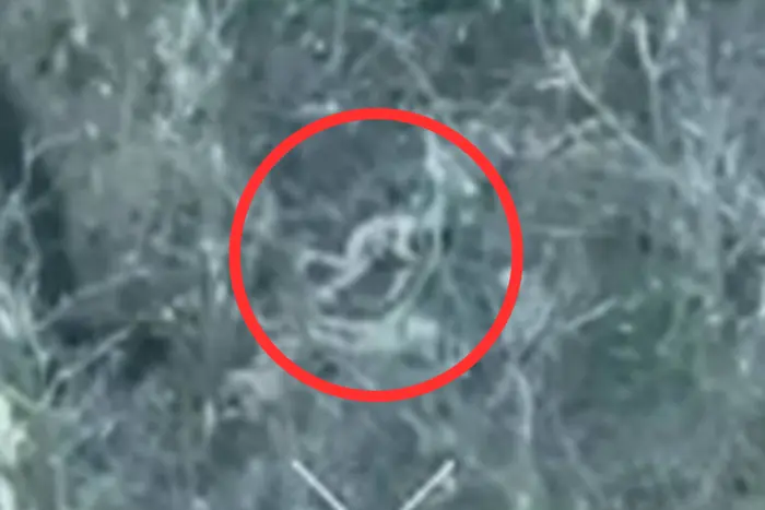 The captured defender was killed by shooting