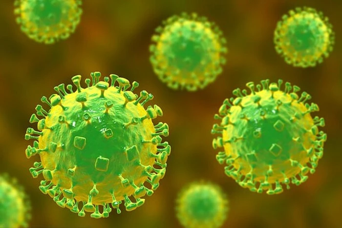 They Cause Inflammation of the Brain. Researchers in China Discovered Two Deadly Viruses for Humans