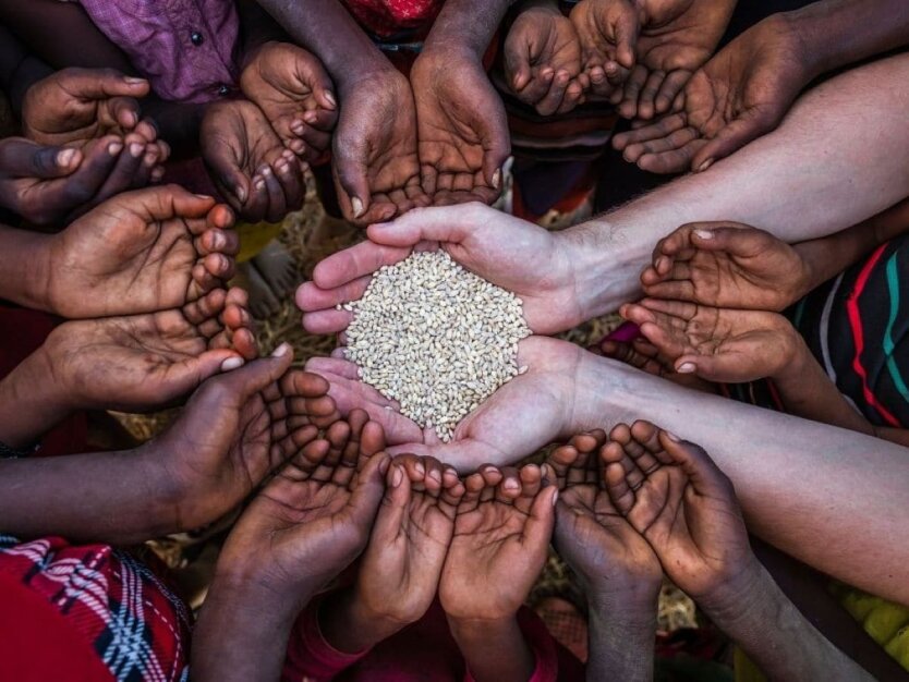 Logo of the Group of Friends on Food Security