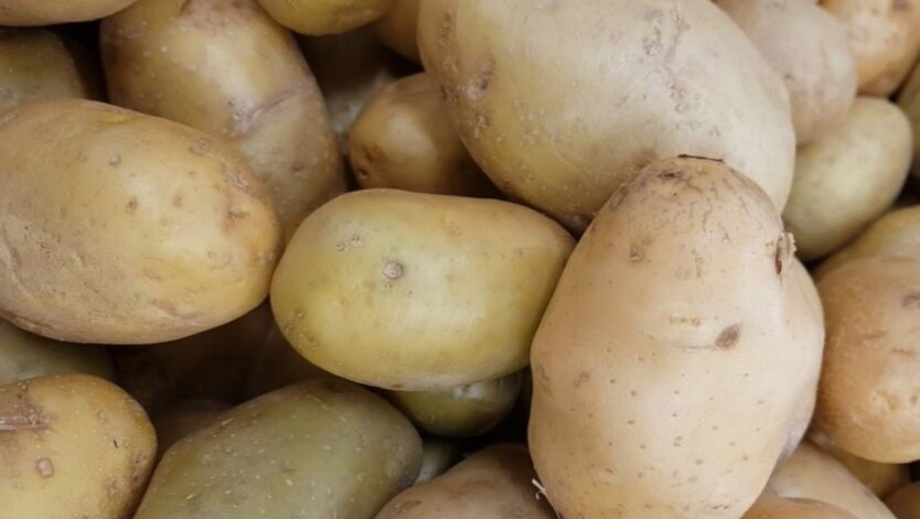 Price collapse of potatoes in Ukraine