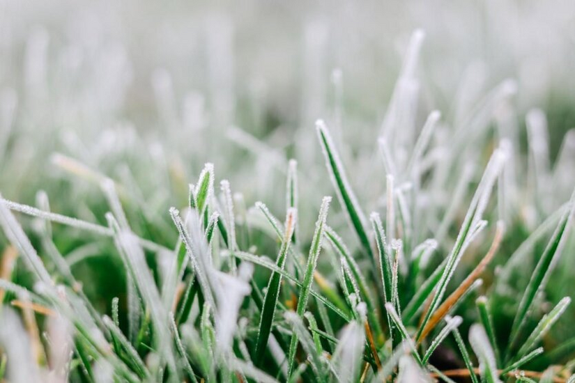 Forecasters warn of frost and rain