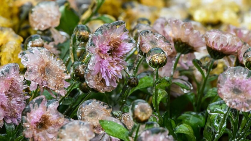 First frost ahead of cooling and rain