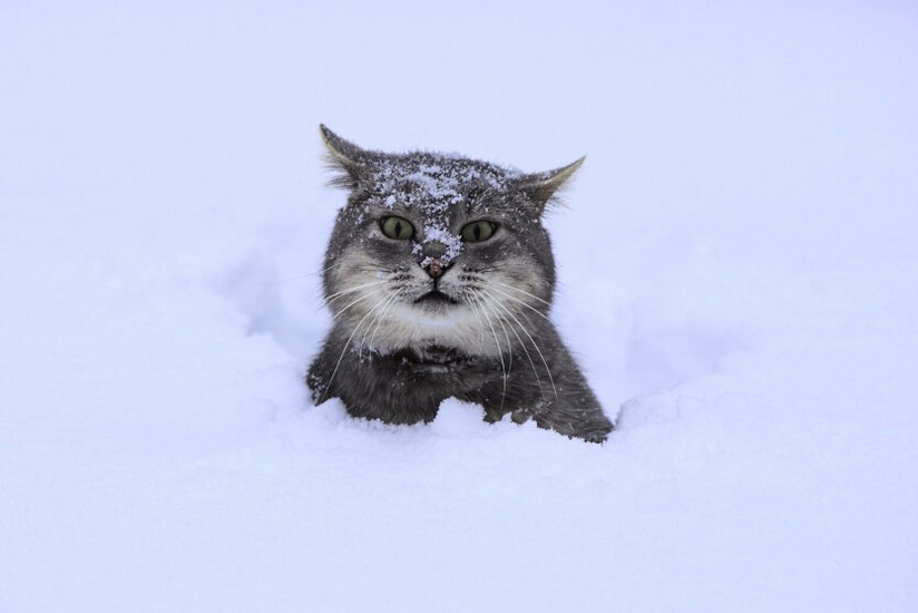 Wet snow and frost: sharp weather changes
