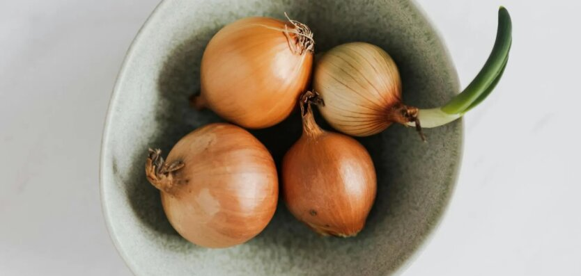 Onions in Ukraine are getting more expensive: factors affecting the price