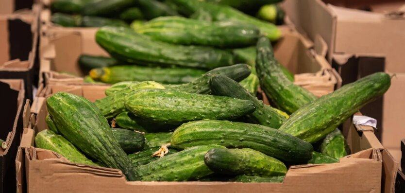 Price increase for cucumbers and tomatoes