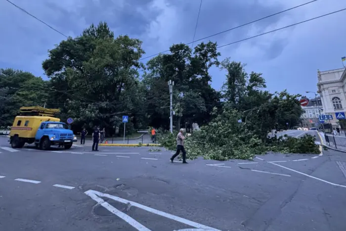 Zachodnie obszary dotknęła silna burza (wideo)