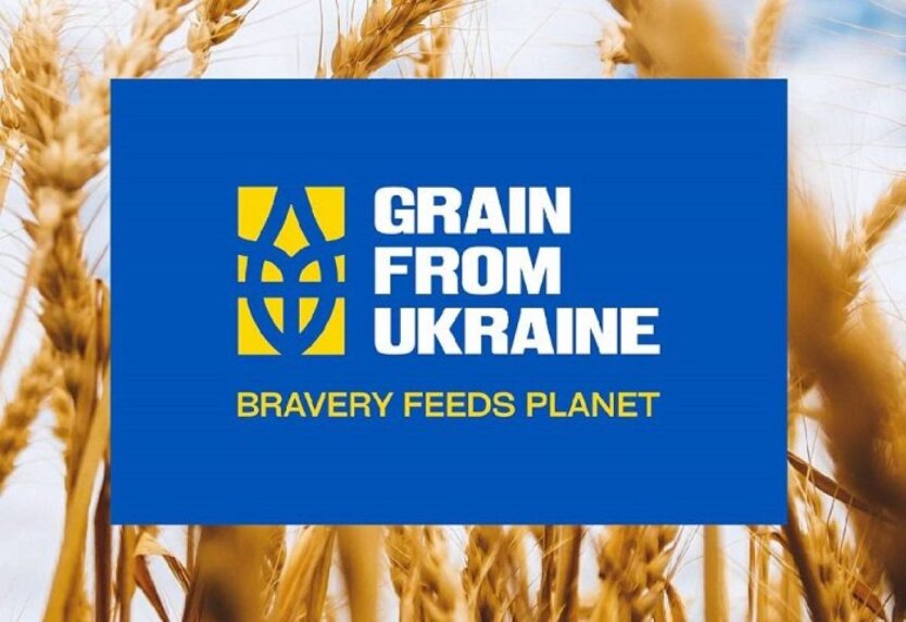Zboże z Ukrainy: do krajów Afryki i Bliskiego Wschodu wysłano ponad 280 tysięcy ton produktów rolnych