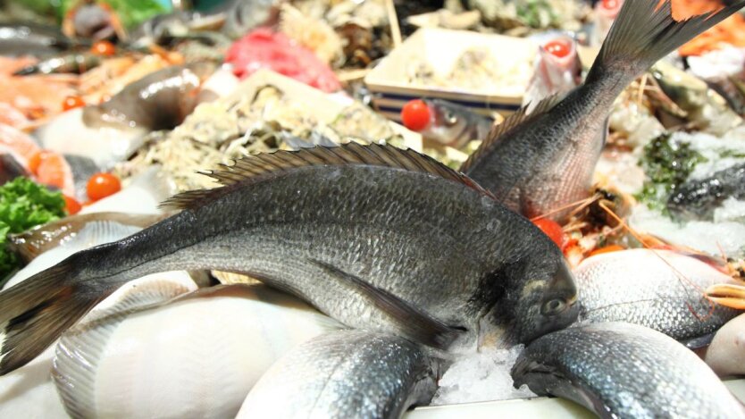 Prohibited fish in stores