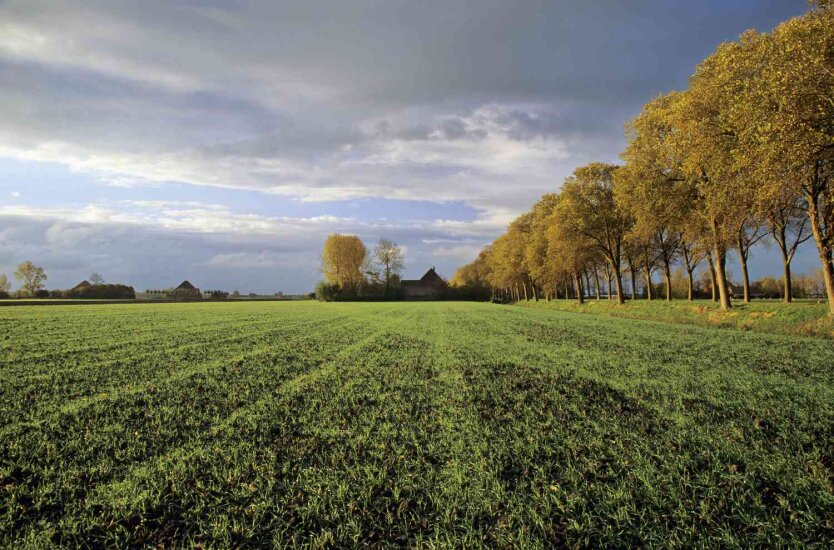 The Land Law: Protection of Property Owners