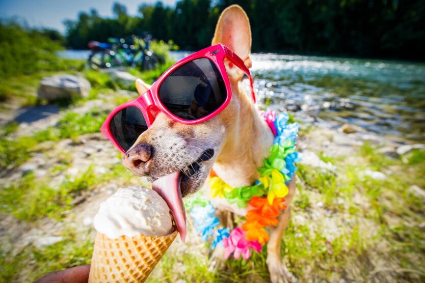 Sunny weather of the summer period