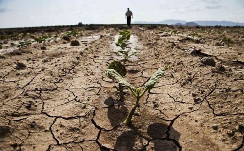 Украина на пороге экологической катастрофы: угрожает потеря урожая и воды