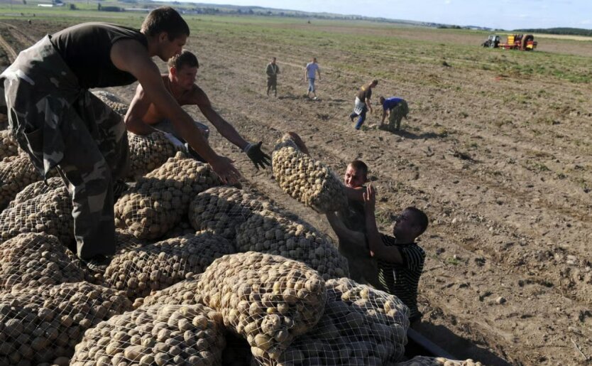 Former Collective Farmer Struggles: Lukashenko Led Belarus to Potato Shortage