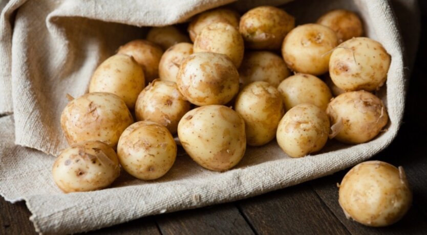 Supermarkets or markets: Ukrainians were shown where young potatoes have sharply decreased in price