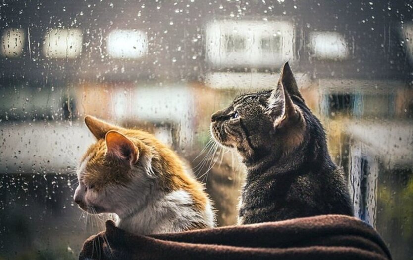 April - rains and temperature drop