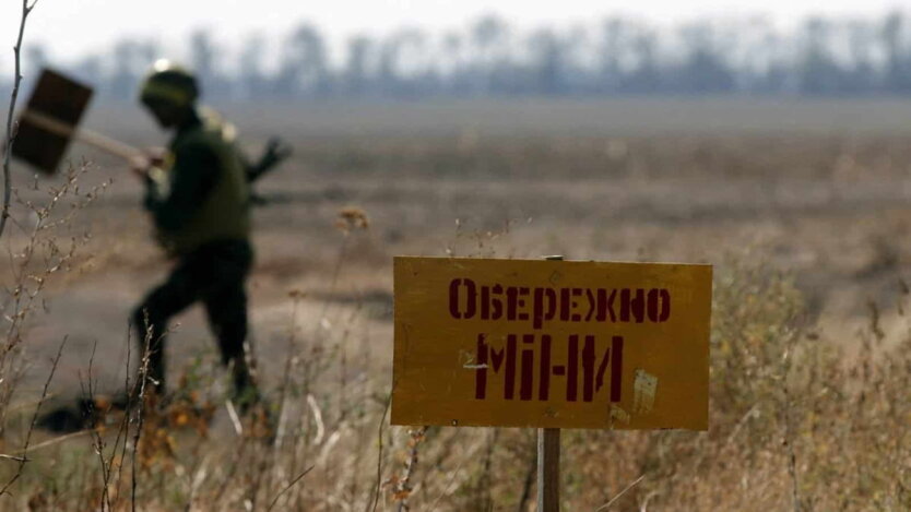 To clear land in Ukraine, almost 1 trillion UAH is needed - MP