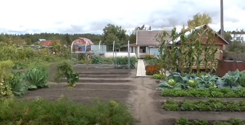 Land under the house: ownership rights