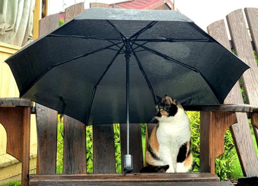 The rains won't let up, but warmth is already near: forecaster Didenko said when summer weather will come to Ukraine