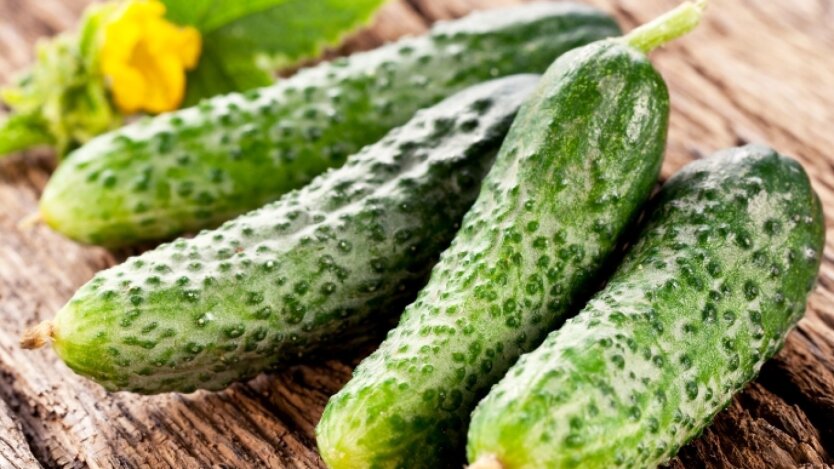 Price Collapse of Cucumbers in Ukraine